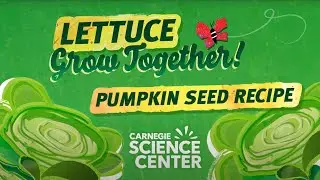 Pumpkin Seed Recipe — Lettuce Grow Together