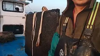 yan ang hanap bohay nila dito sa Korea mga kaingkoy