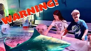 I TOUCHED a REAL SHARK!!