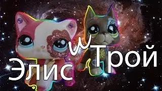 "Лучший клип!":Элис и Трой! ГОЛОСУЙТЕ! №4