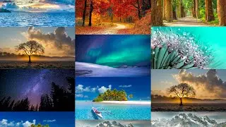 Grid Photo Transition - After Effect Preview HD