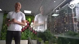 Квартира недели в Zenlife с выгодой 459 000 рублей🔑