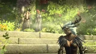 Best of the dragons age part 13