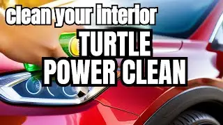 turtle wax multi purpose cleaner