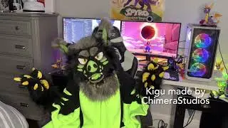 Furry YouTube channel launch!