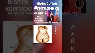 Что внутри корпуса гитары? ответ 2 