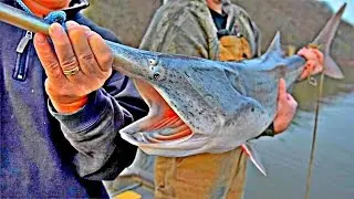 MAN vs FISH - Paddle Fish!
