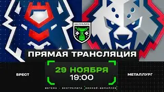 Брест - Металлург | 29.11.2024 | Экстралига | Прямая трансляция