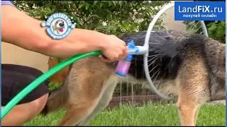 🐶 Прибор для мытья животных 💧 Wash Your Dog In Less Than