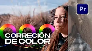 My COLOR GRADING TECHNIQUES in Premiere Pro
