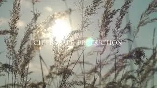 Поход за клюквой на болото - турклуб Сity Escape