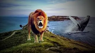Lion & Whale - Photo Manipulation | Photoshop | Time - Lapse