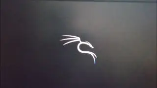 How To Install And Run Kali Linux (Live Boot)
