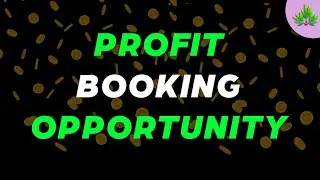 Small cap ready for 2nd Profit booking