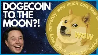 Dogecoin and Elon Musk to the Moon!