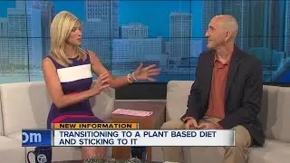 How to transition to a plant based diet and stick to it