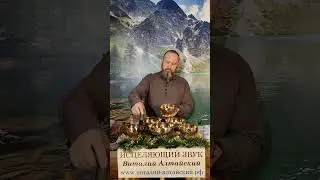 Сеанс исцеления для укрепления и восстановления Иммунной системы. Смотреть до конца. Описание под