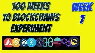100 Week Crypto-Winter Journey -1 | Free Google Spreadsheet to track 10 Blockchains
