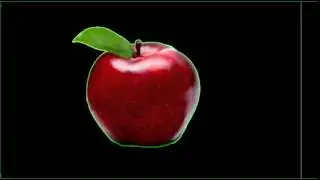 Cartoon and video test