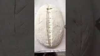 Золотой хлеб #shortvideo #cake #shorts #reels #youtube #хлеб #закваска