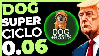 DOG GO TO THE MOON SUPER CICLO COMEÇOU?