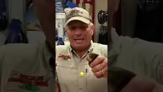Have You Ever Seen A Mole? - SHARP TEETH 😳 