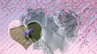 Лена Василёк и гр. Белый день - Василёк .......