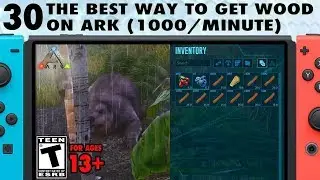 30: The Best Way to Get Wood on Ark Switch at a Low Level - The Ark Switch Survival Guide