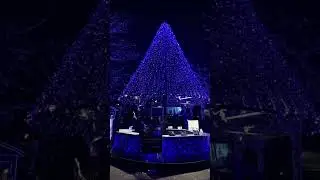 Christmas in Tokyo Japan 🇯🇵🎄