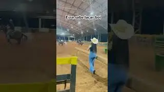 Esse sabe laçar boi #shortsyoutube #piadadodia #cavalos #cavalo #piadapronta #humormemes #agro