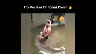 Pro version of pani pani