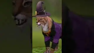 Хватит спать 