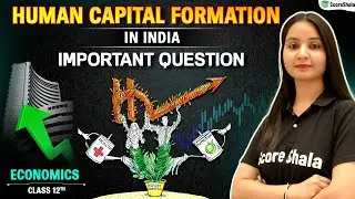 Class 12: Indian Economy | Human Capital Formation (HCF) | Most Important Questions