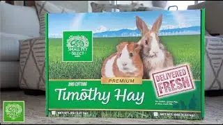 2nd Cutting Timothy Hay from Small Pet Select