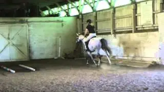Gigi's Second Ride