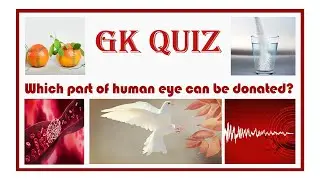 Test Your Brain - General Knowledge Quiz #3 | TRAIN YOUR BRAIN