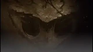 This Hollow Knight Music was NEVER IN THE GAME!