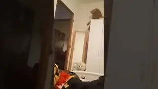 Prank na Andreju 🤣👌