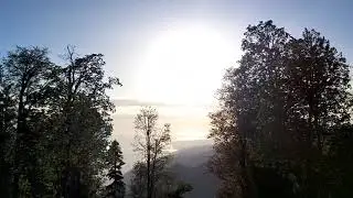 Пркоряя Мамзышху