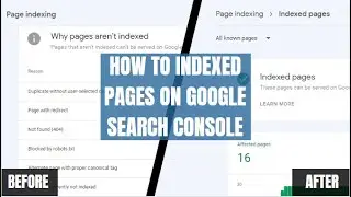 Why pages aren’t indexed | Indexing Problems in Google Search Console