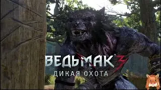 ♦ Ведьмак 3 ♦ серия #45 МОРКВАРГ