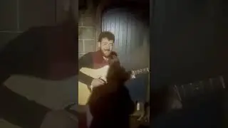 highland busker x