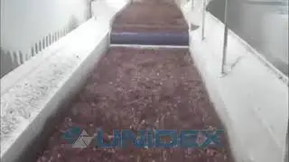 Морозильные туннели IQF
