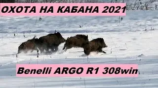 ОХОТА НА КАБАНА 2021, МАТЕРЫЙ КАБАН. КАРАБИН BENELLI ARGO R1 308WIN. BENELLI ARGO  2011г.выпуска