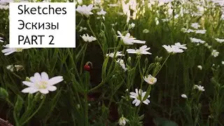 Sketches / Эскизы (Part 2 / Часть 2) (Ambient, Instrumental, Post-rock)