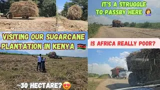 🤑🔥 BILLION WORTH OF PRODUCE ARE TRANSPORTED EVERYDAY IN THIS ONE OF THE UGLIEST ROAD IN KENYA 🇰🇪🌱