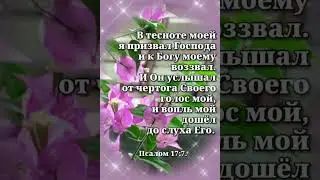 Доброй ночи! Христианское пожелание