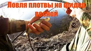 ловля плотвы на фидер весной на р Ока в Коломне