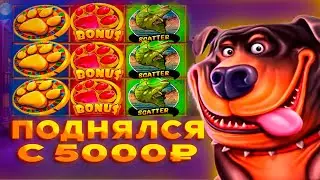 ПОДНЯЛСЯ С 5000р! В СЛОТАХ Big Bass Splash, The Dog House Megaways, Cleocatra / ЗАНОСЫ НЕДЕЛИ