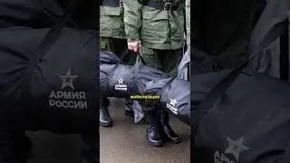 Я строю ускорители частиц в России. И миксеры🤯 